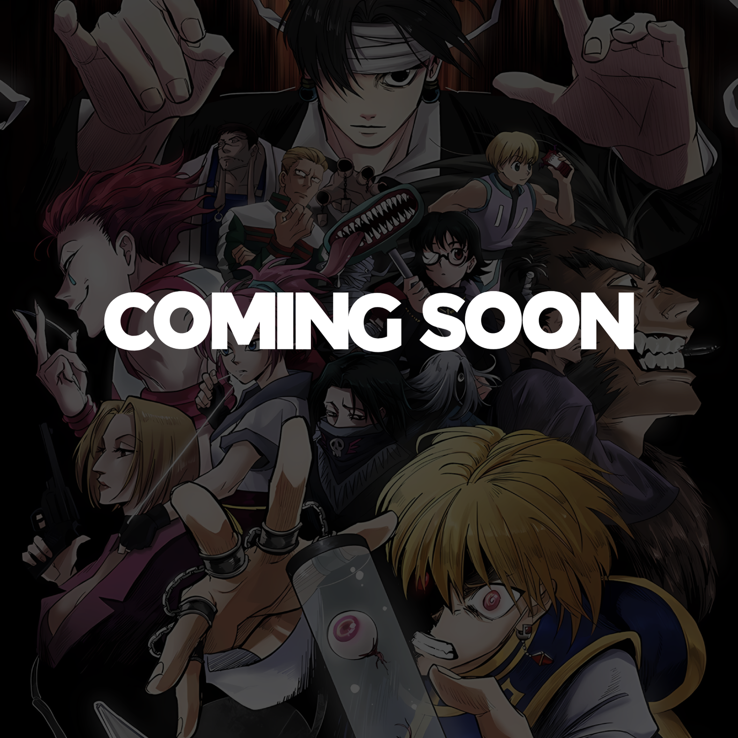 HxH (COMING SOON)
